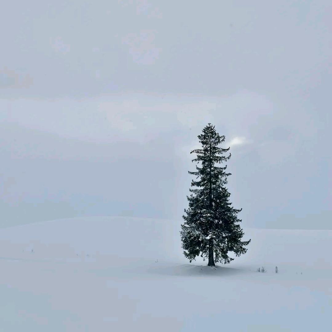 岁星星