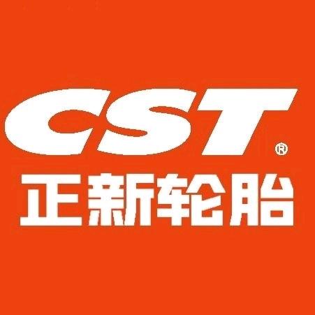 正新轮胎 摩特机油 理士电池 霸州总代理