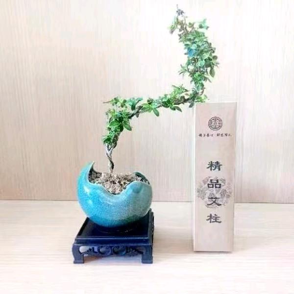 颐解堂哈尔滨玫瑰湾店蓉老师