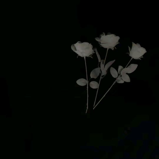XW