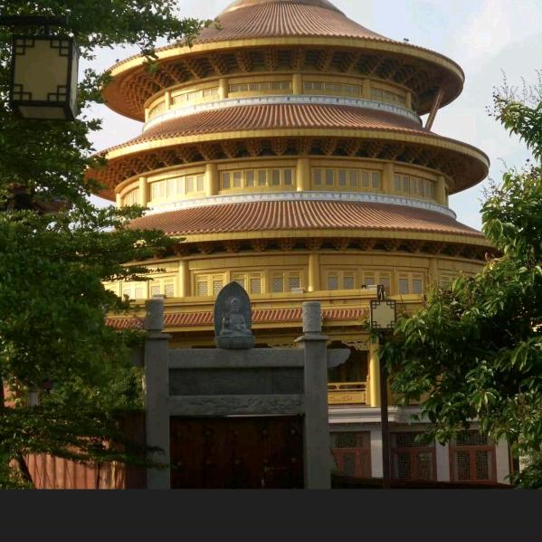善存福安