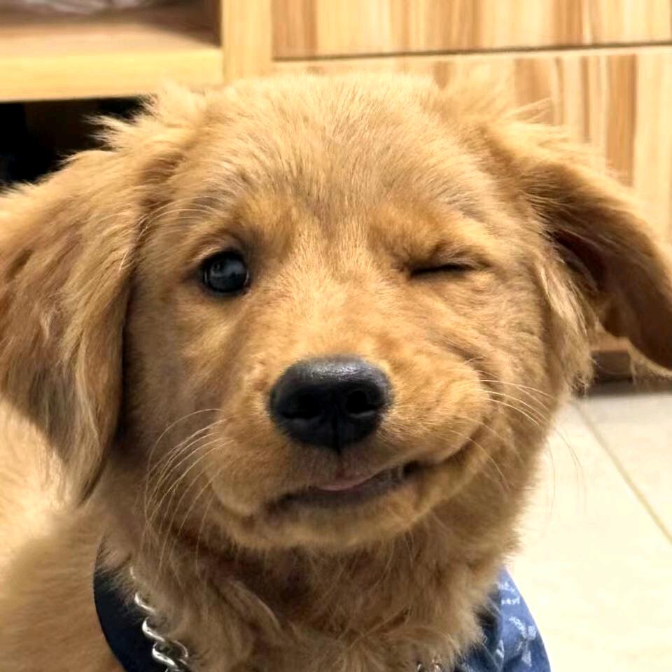 不准驼背