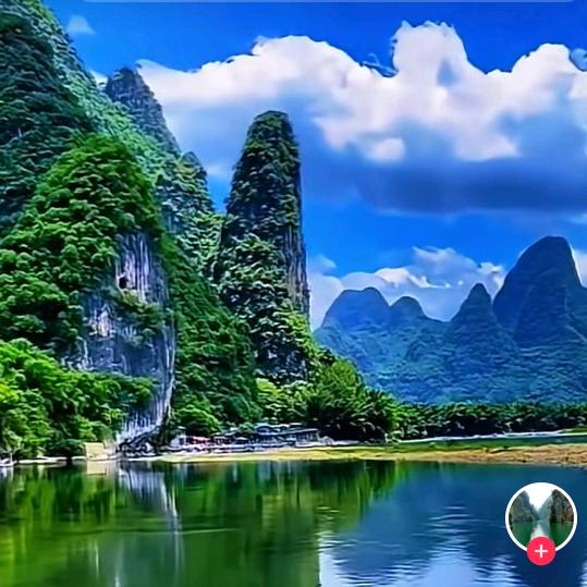 做宠物窝的美女小姐姐