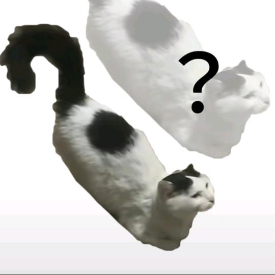 收敛水