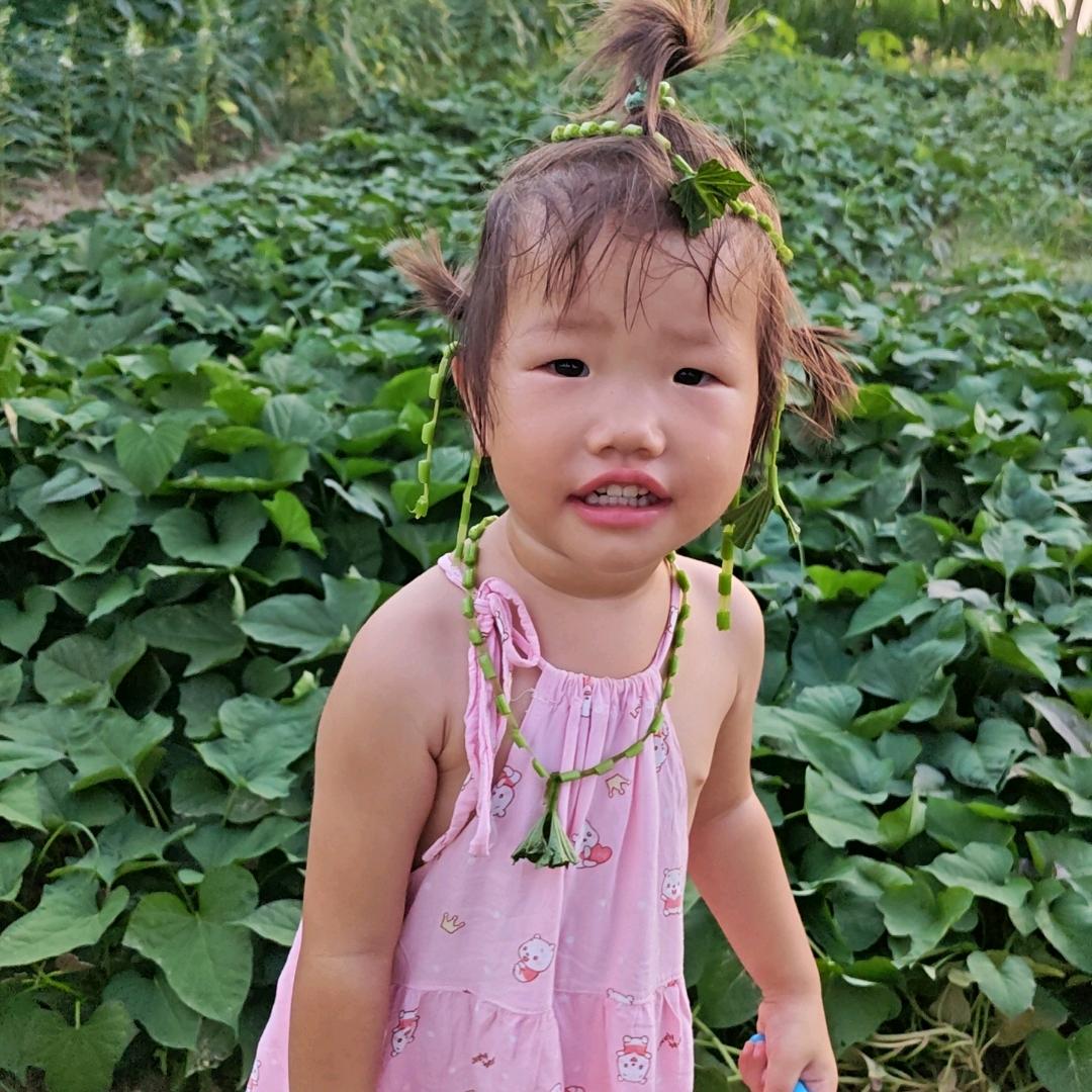 半糖百香果