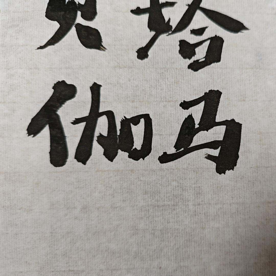 向日葵军团  伽马