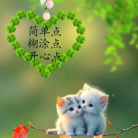 从头再来