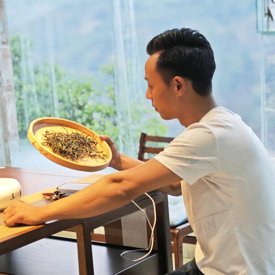 秘境临沧（山顶顶古树茶)