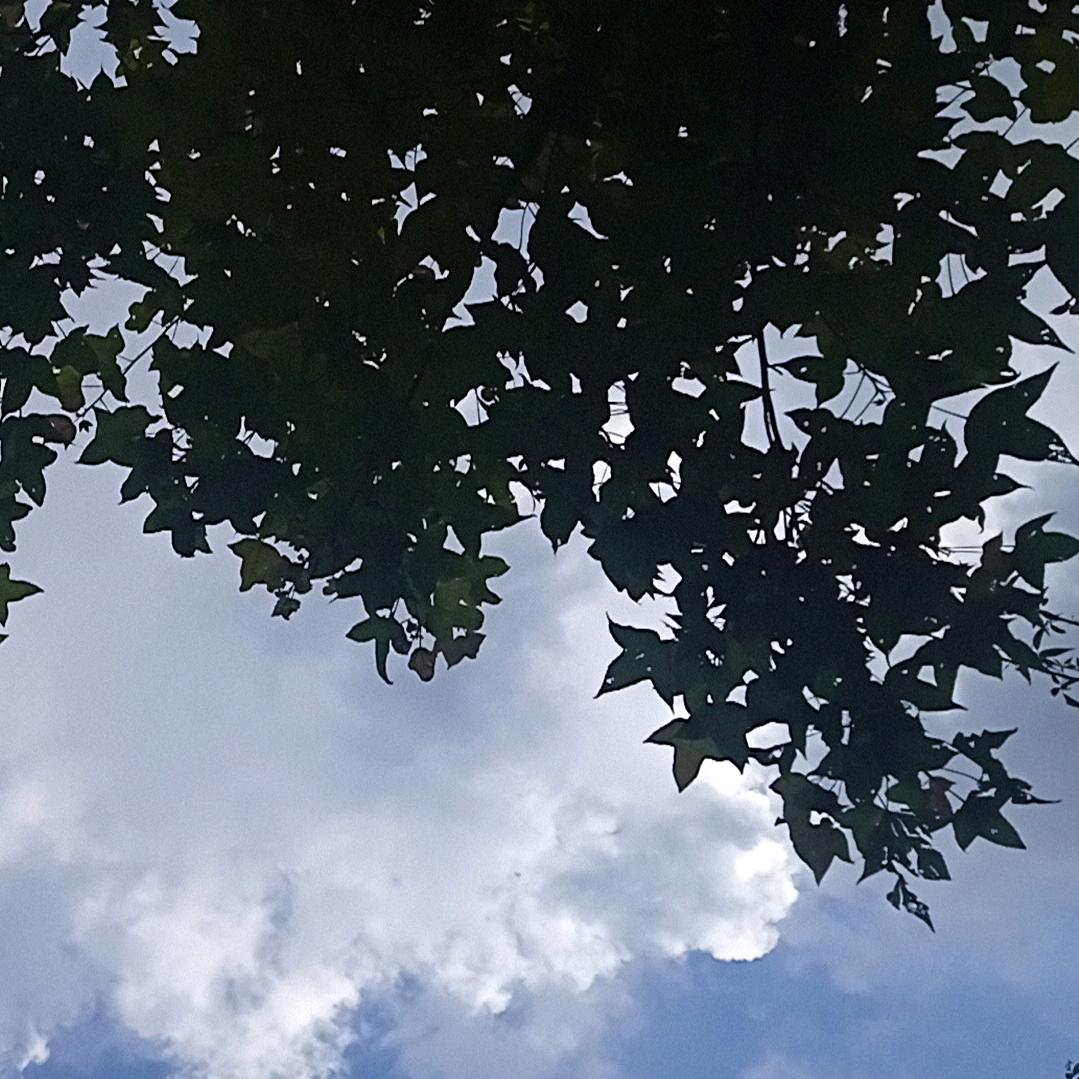 胜三