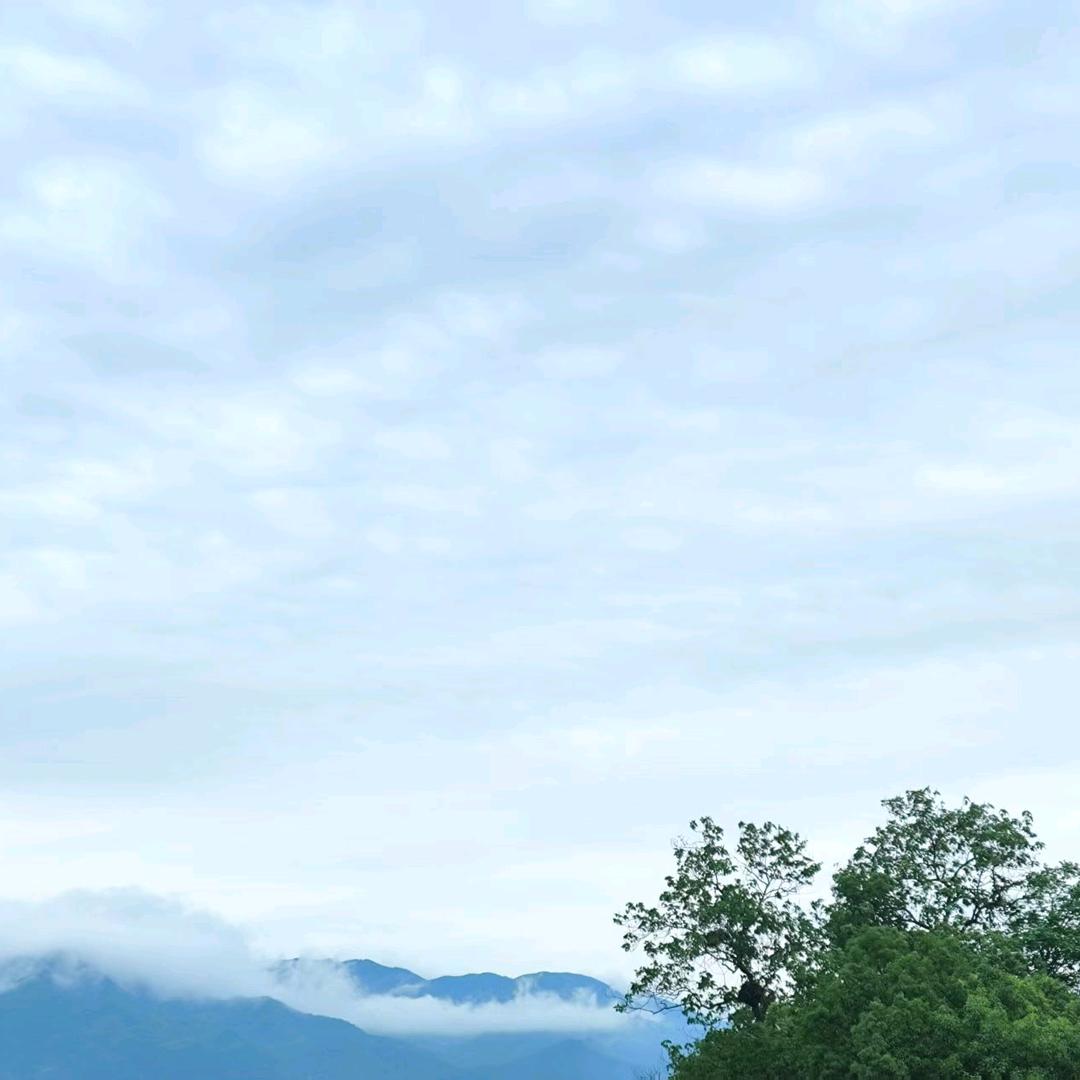 马克白松