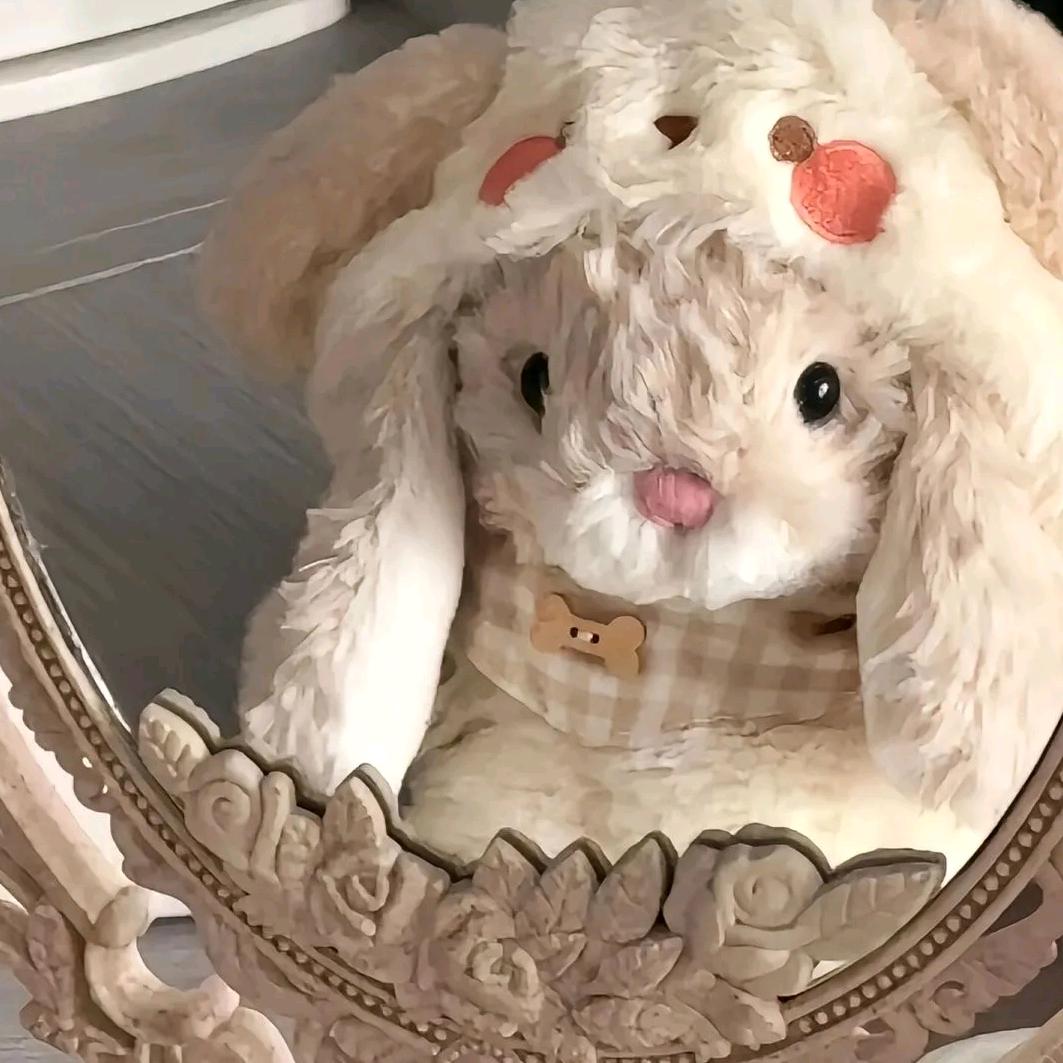 漁玖ゅᐝ