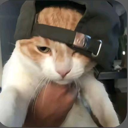 DBbbbb