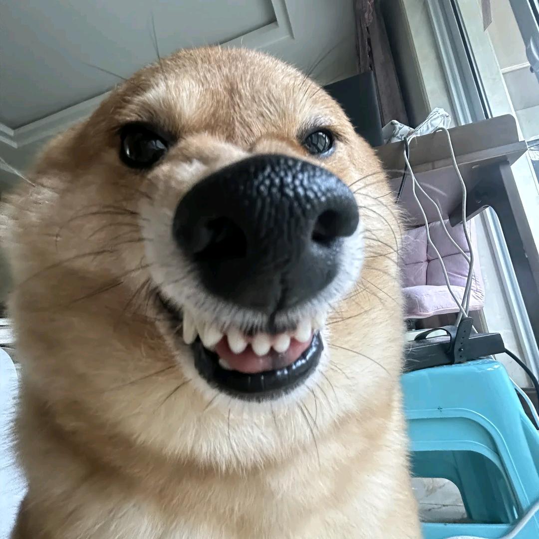 重生之我在抖音当皇帝