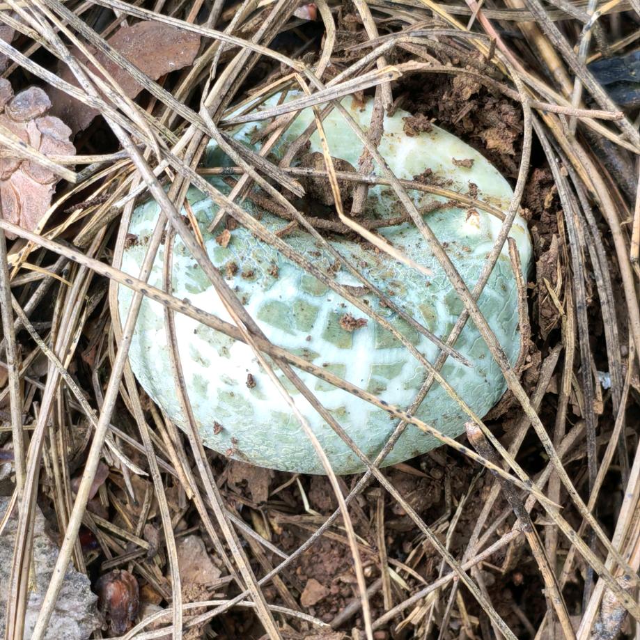 🍁删除💕过往💞