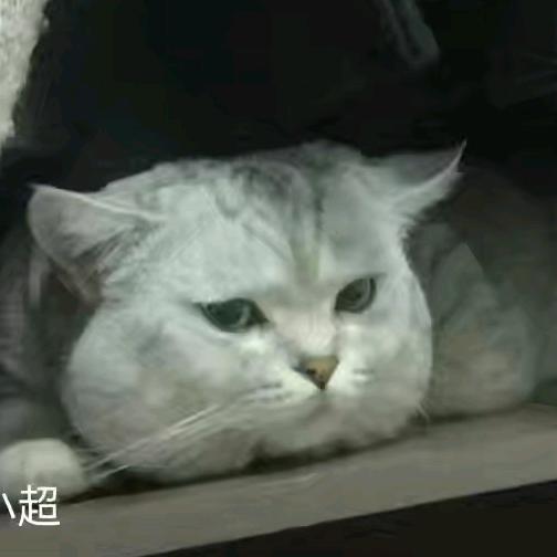 这算是爱的供养么