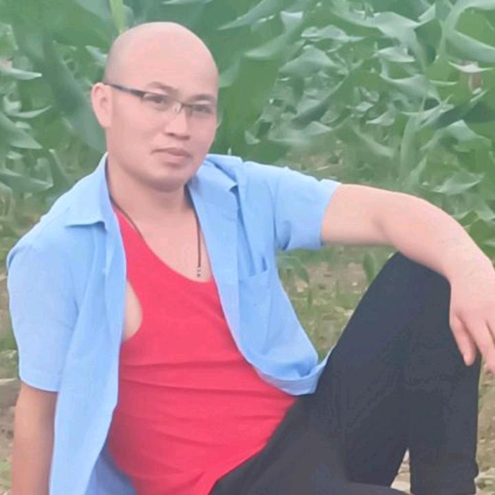 TY乐