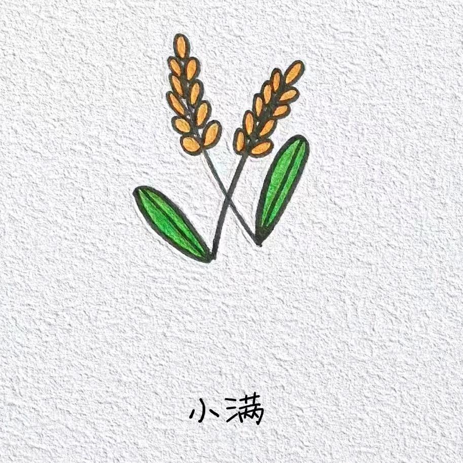 南岸金辉物业租售