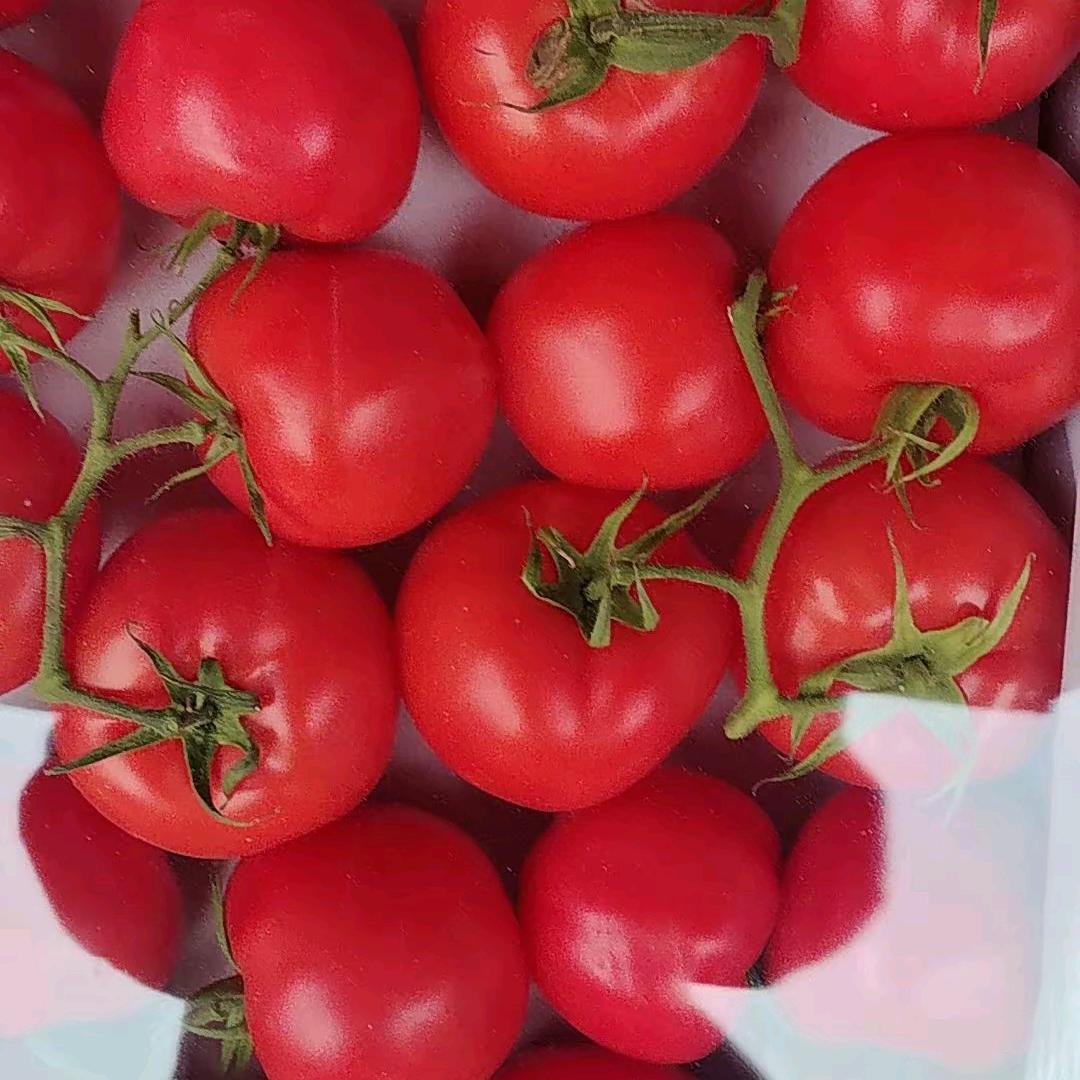 菠萝。