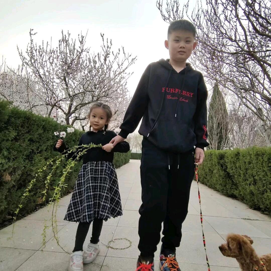 稳稳的幸福