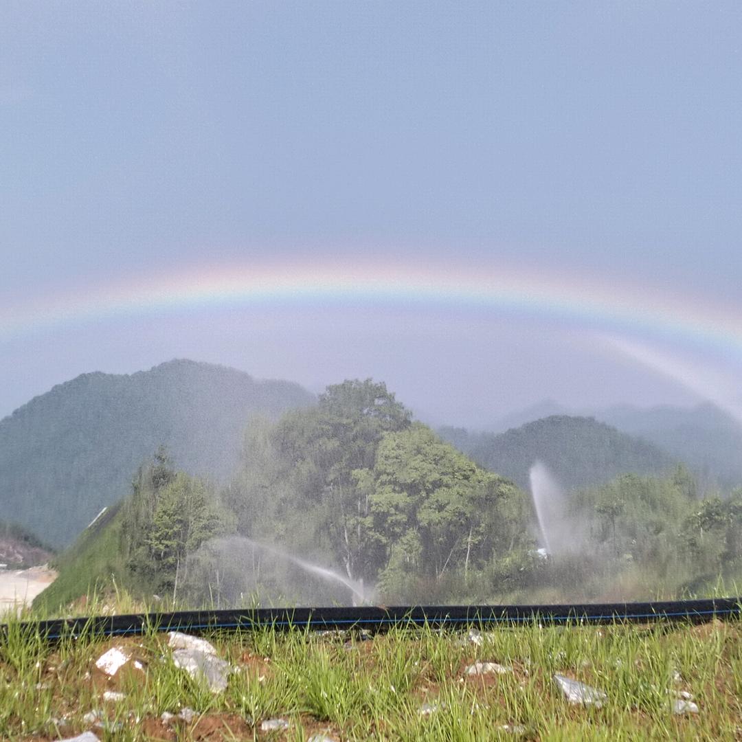 有多少爱可以重来