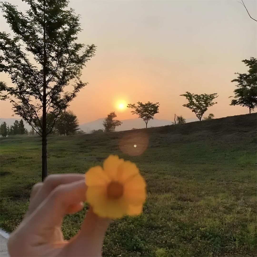 王温柔