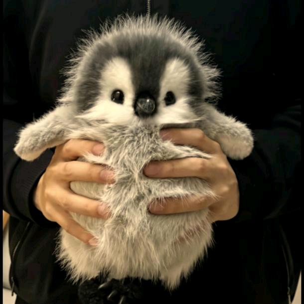 灰太郎