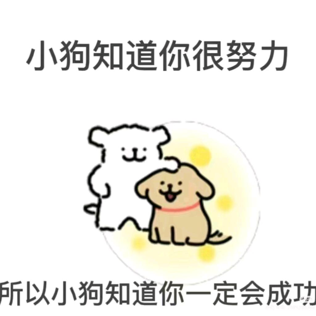 呀呀呀