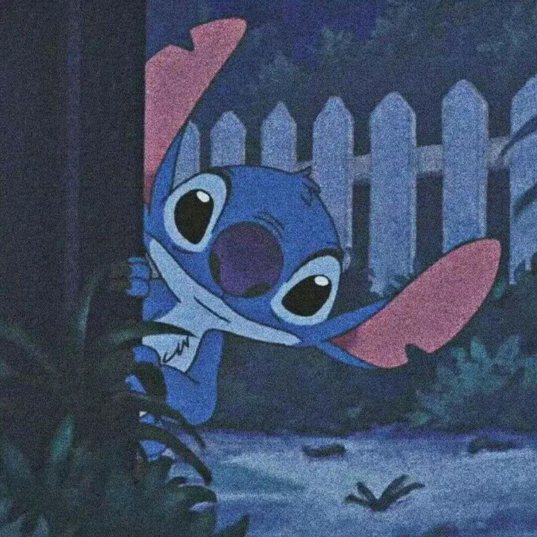 燕麦小子