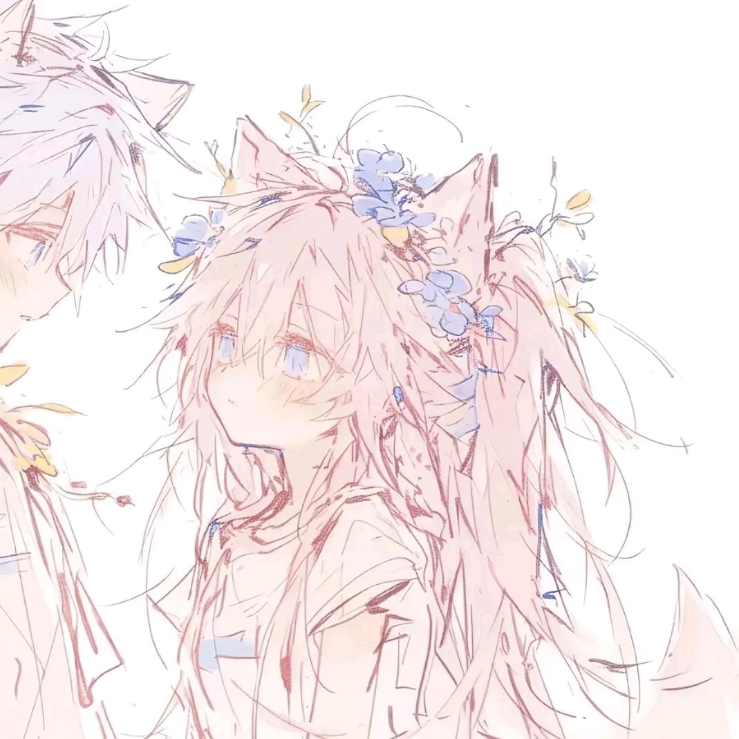 神奇海螺✨