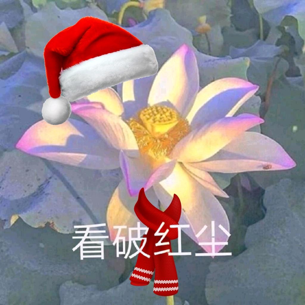 金蓄