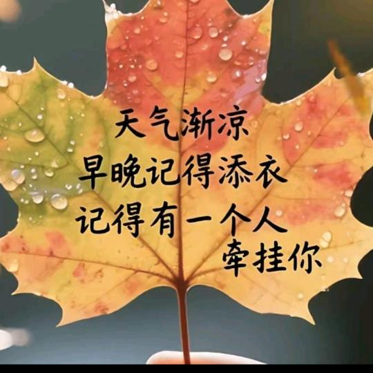 牵肠挂肚