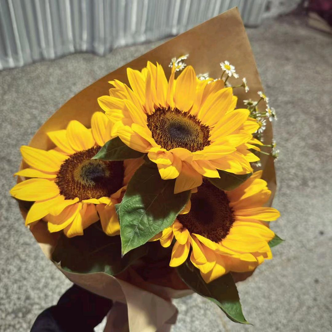 阳光总在风雨后斯香春