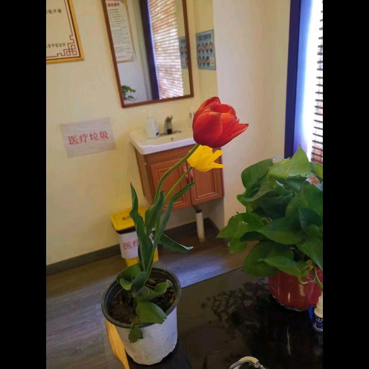 梨涡远点