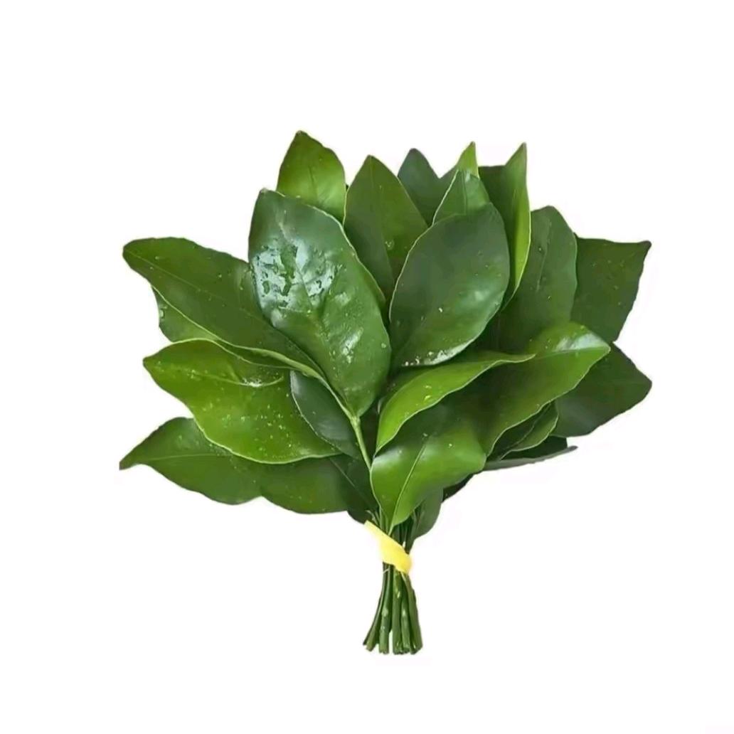 忘情牛肉面（清空）