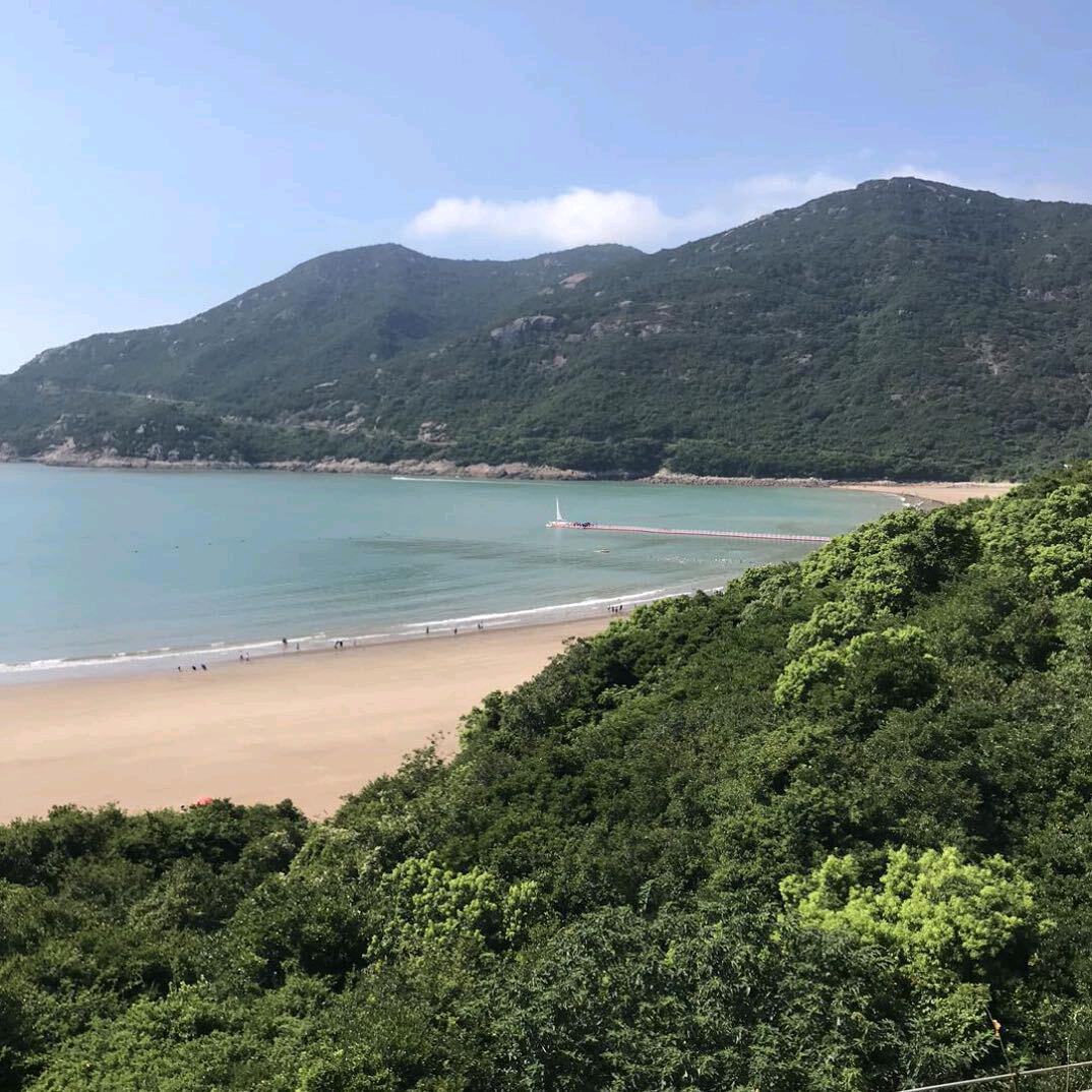 @楊哥