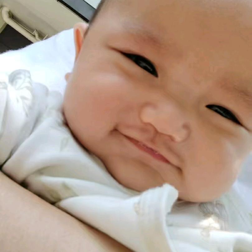 小龙