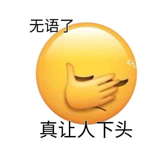 我的母语是无语