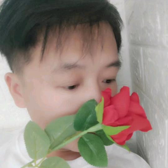 十六手玫瑰