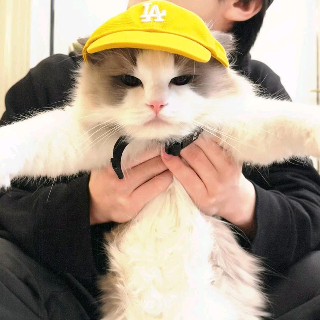 快点休息.（见过王俊凯版）