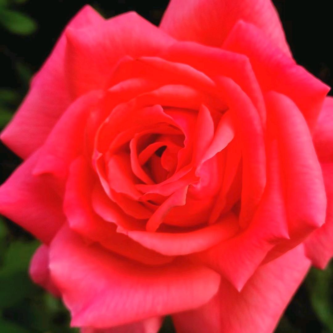 用户23389733680528