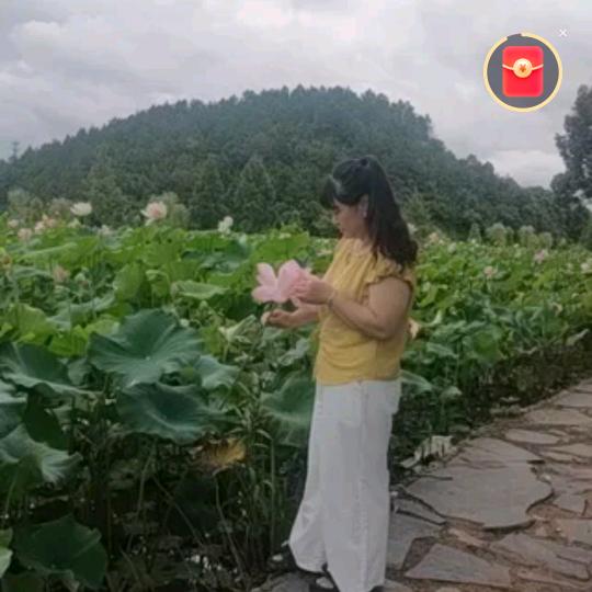 丽丽1
