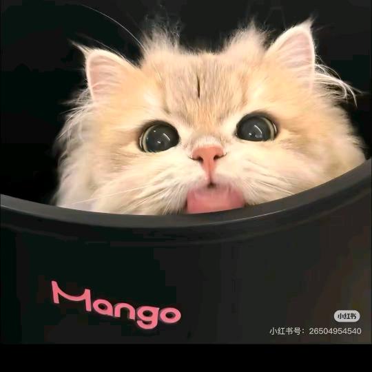 孤独袅袅