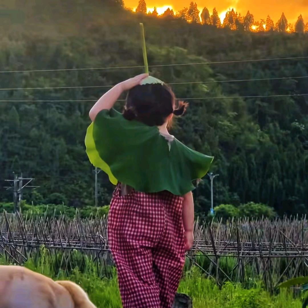 小太阳☀️(*^ω^*)