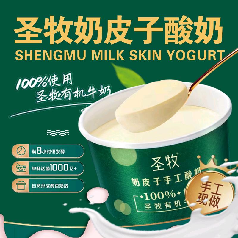 圣牧有机奶皮子酸奶