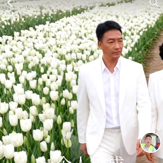 父子木材搬运工砍树一条龙服务树枝树根清理