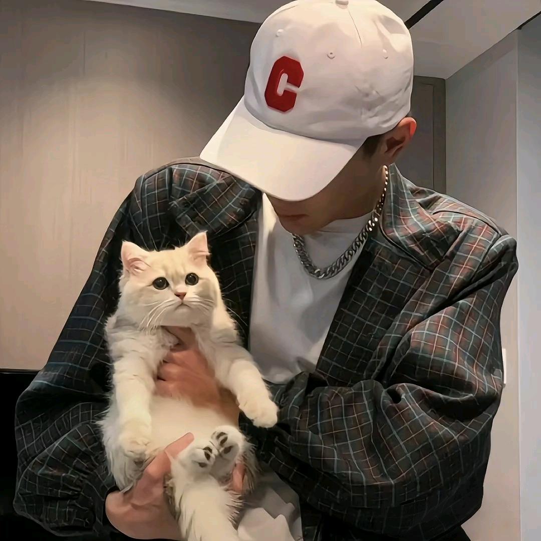 炸街小猫