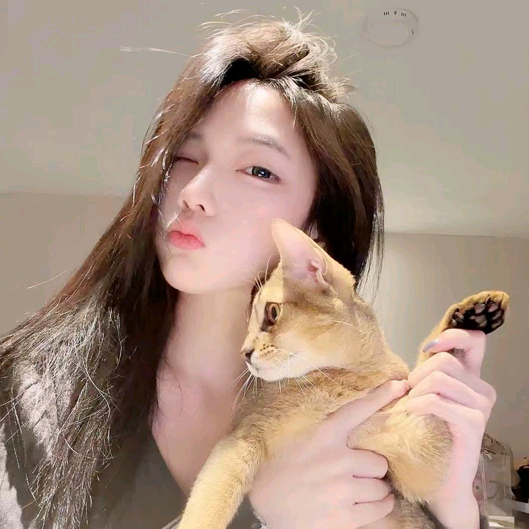 𝙋𝙞𝘾𝙧𝙞𝙔