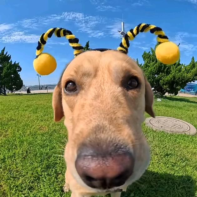 一簑烟雨任平生