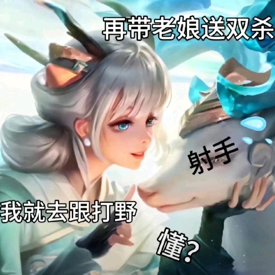07宝宝软辅（百段打野差99段）