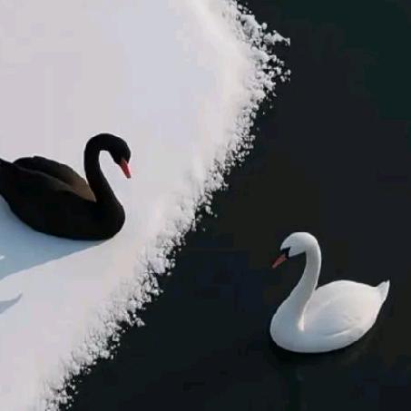 会烤焦